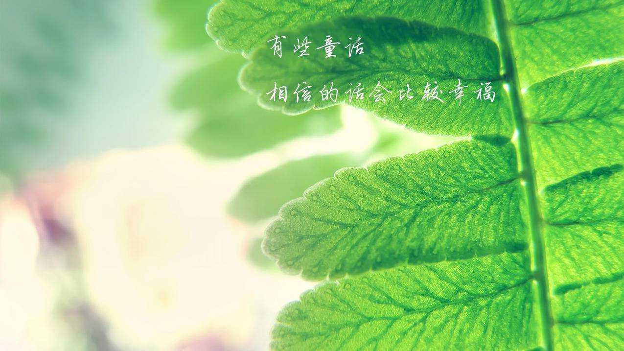 网红商城